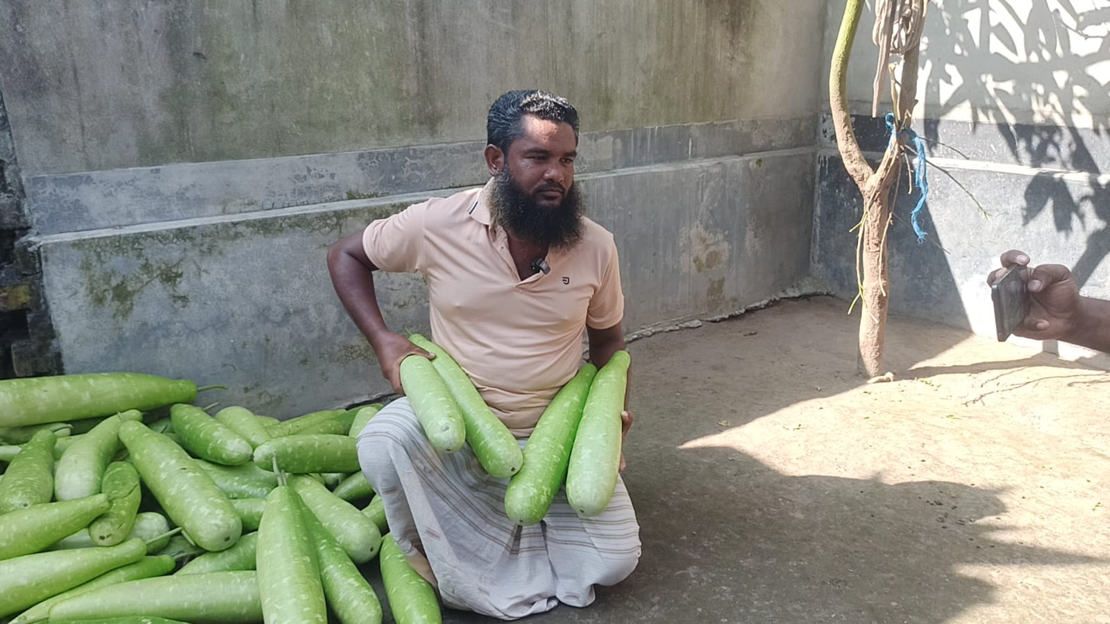 পঞ্চগড়ে এক টাকায় চারটি লাউ, লোকসানে বাগান কাটছেন কৃষক